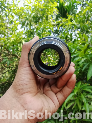 Canon 6d & 50mm f1.8 & 85mm f1.8